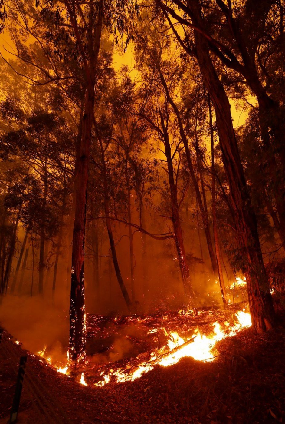 Catastrophic bushfires